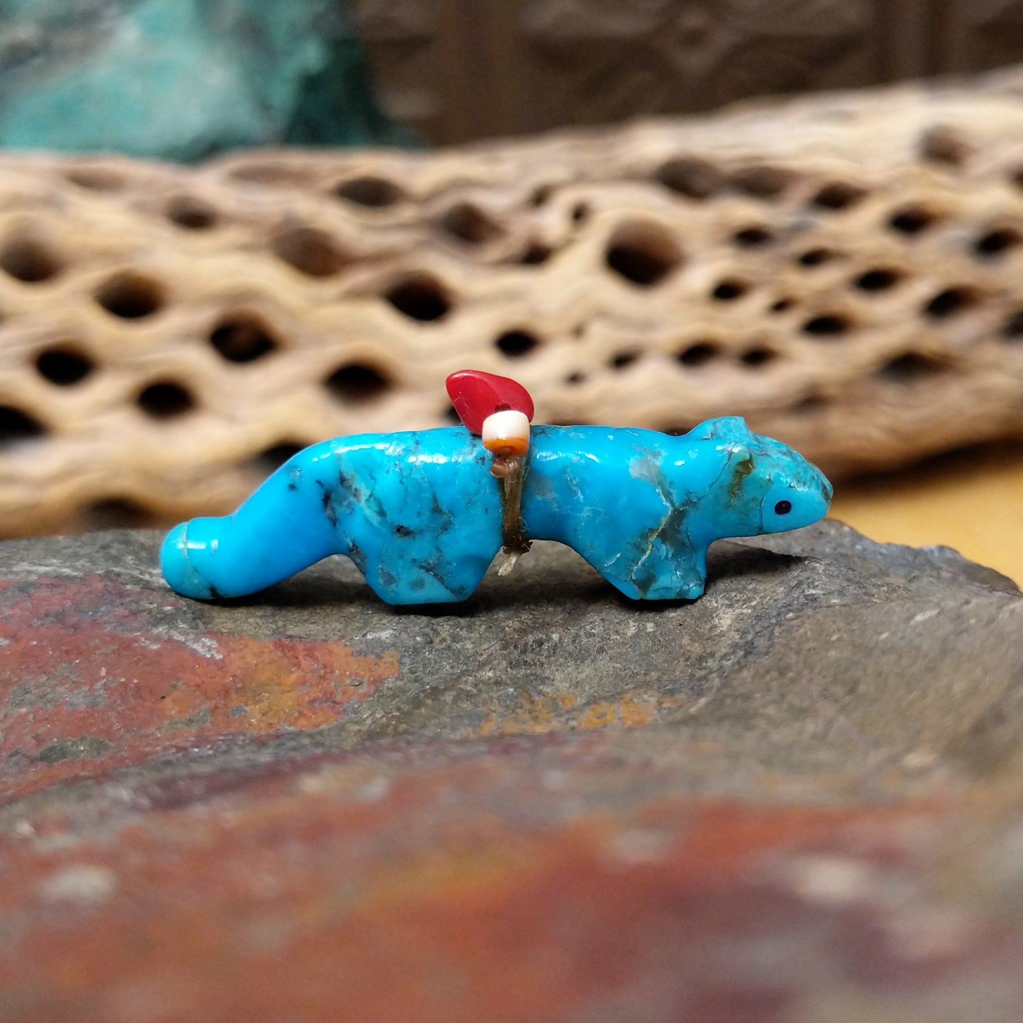 Cougar Zuni fetish by LaVies Natewa carved from turquoise with a medicine bundle on its back.